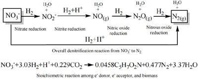 Characteristics of denitrification and microbial community in respect to various H2 pressures and distances to the gas supply end in H2-based MBfR